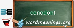 WordMeaning blackboard for conodont